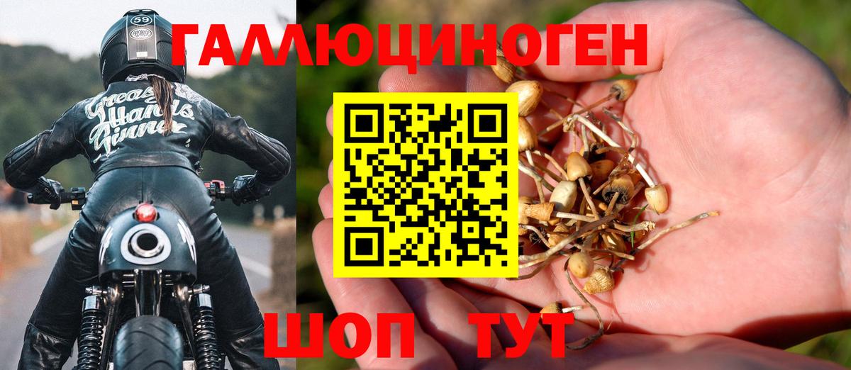 Галлюциногенные грибы ЛСД Курчатов