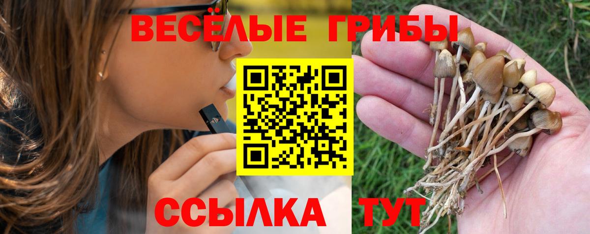 Галлюциногенные грибы ЛСД  Вход с VPN  Галлюциногенные грибы ЛСД  Курчатов 